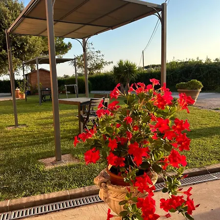 Da Michele E Carmela Di Voli Patrizia * Donoratico